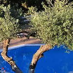 Myrto Homes Lefkada Greece Apartment *