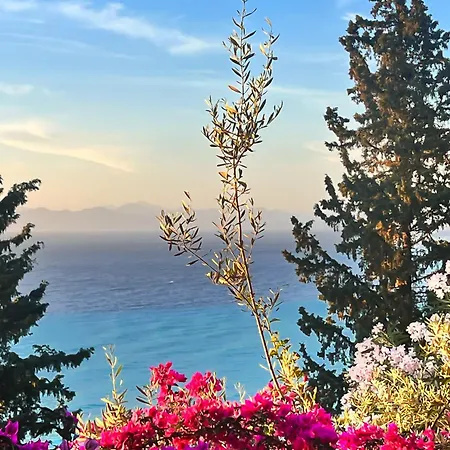 Myrto Homes Lefkada Greece 公寓