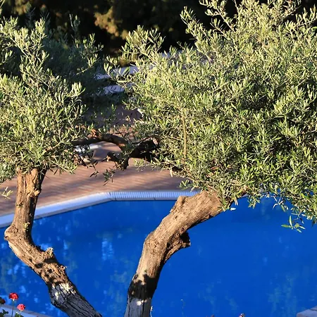 Myrto Homes Lefkada Greece Appartamento *