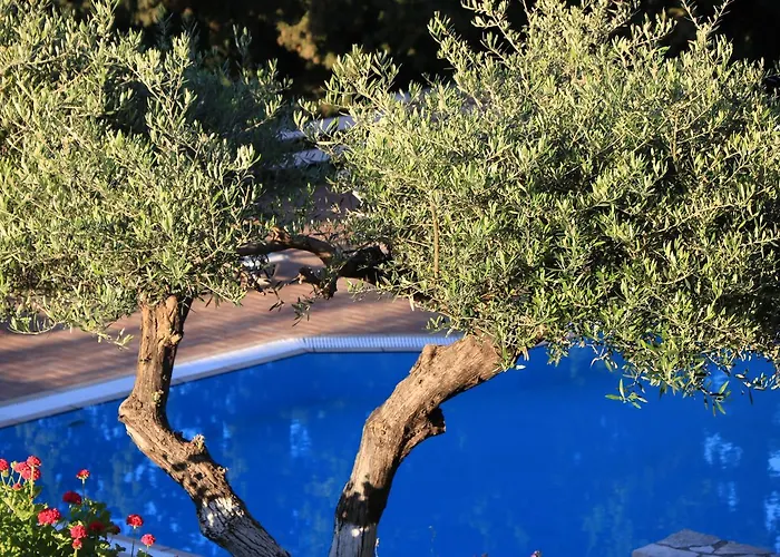 Myrto Homes Lefkada Greece Apartamento *